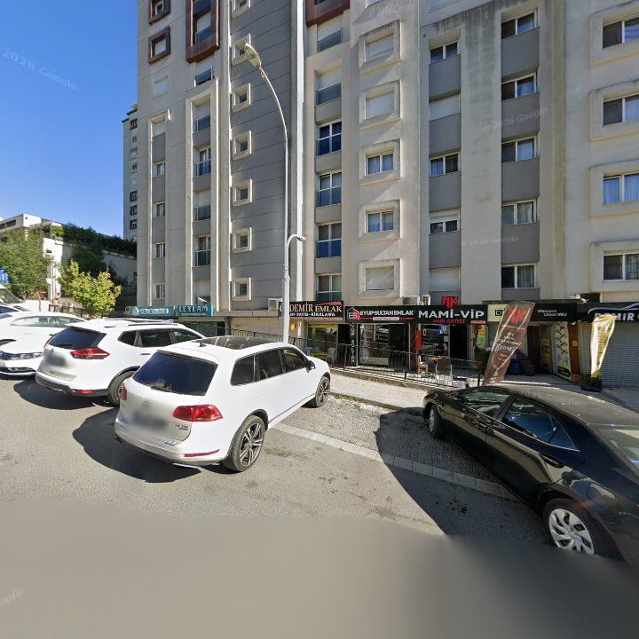 Fotoğraf 12