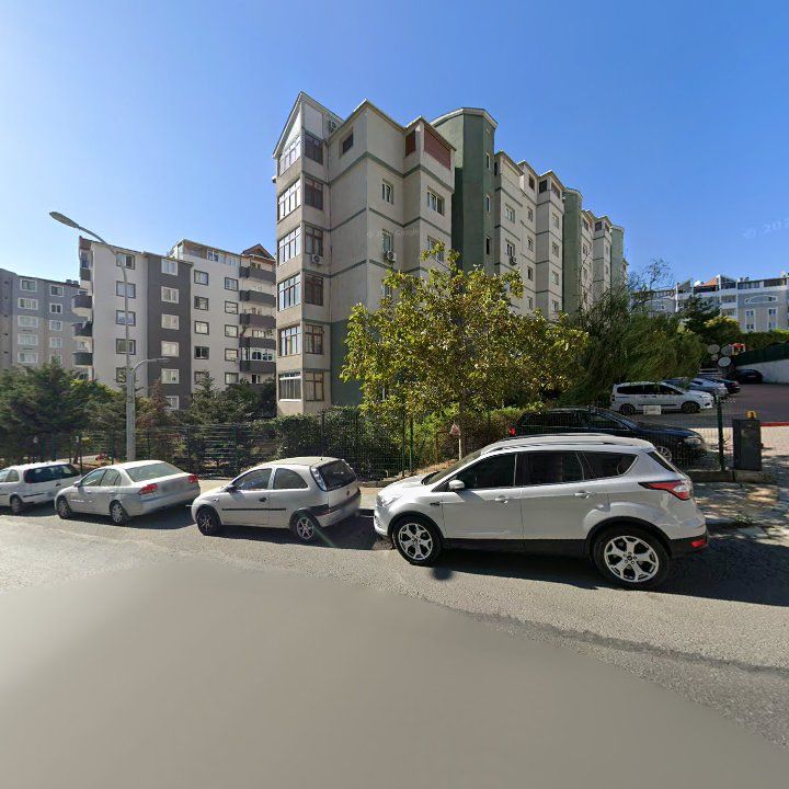 Fotoğraf 10