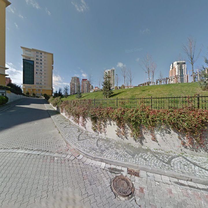 Fotoğraf 12