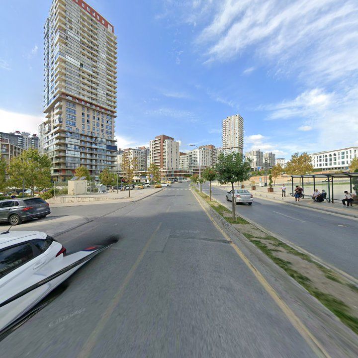 Fotoğraf 10