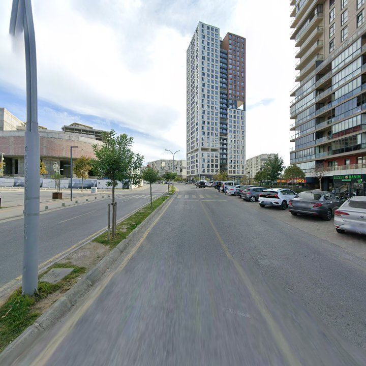 Fotoğraf 12
