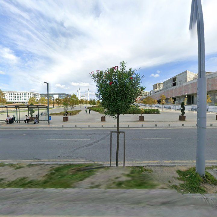Fotoğraf 11