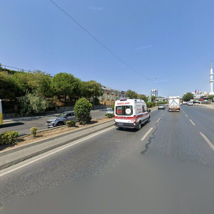 Fotoğraf 10
