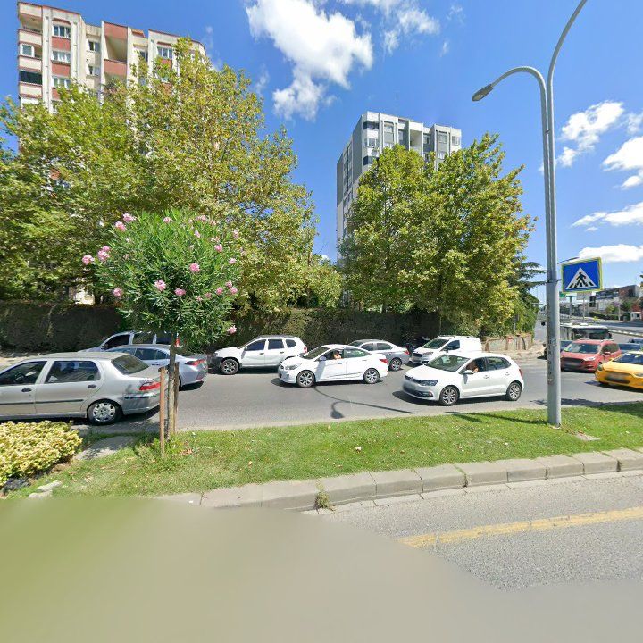 Fotoğraf 11