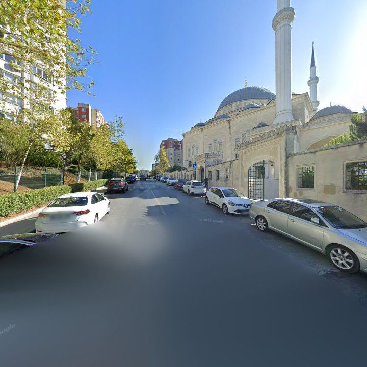 Fotoğraf 11