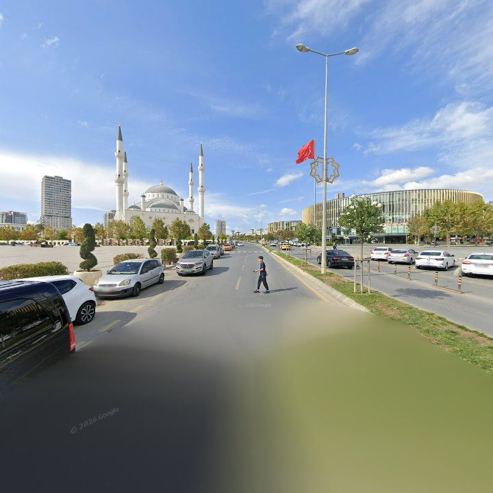 Fotoğraf 10