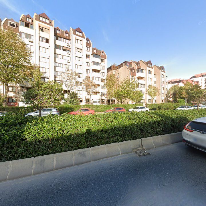 Fotoğraf 12