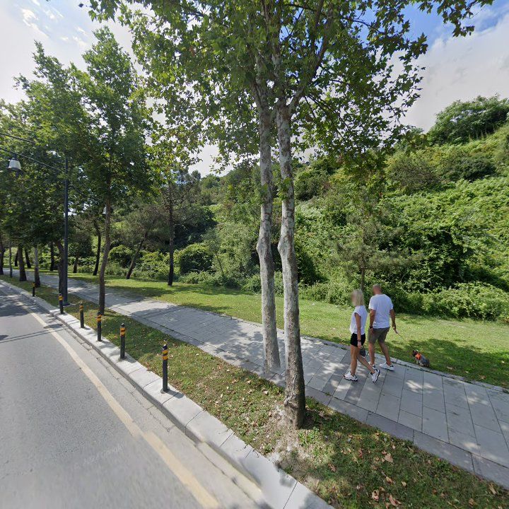 Fotoğraf 11