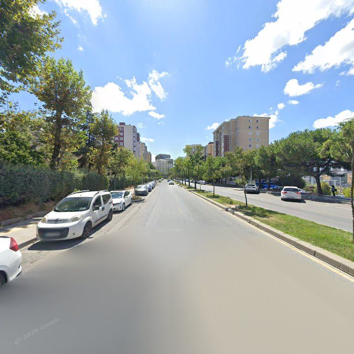 Fotoğraf 10