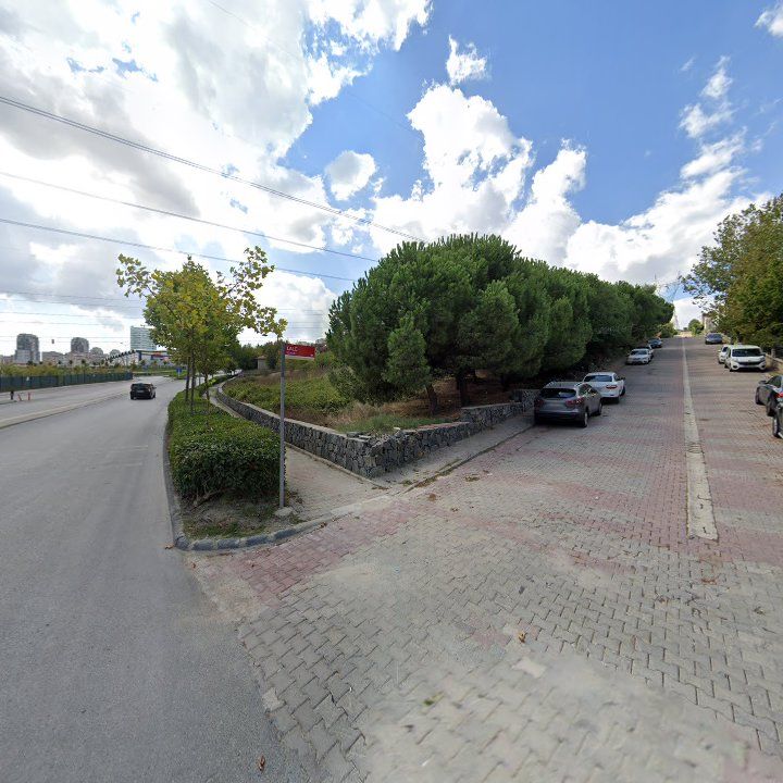 Fotoğraf 15