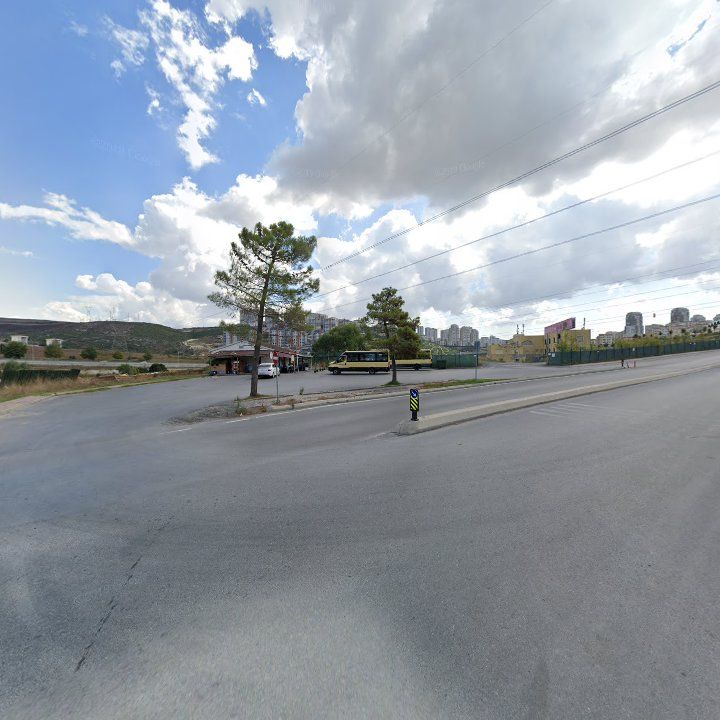 Fotoğraf 14