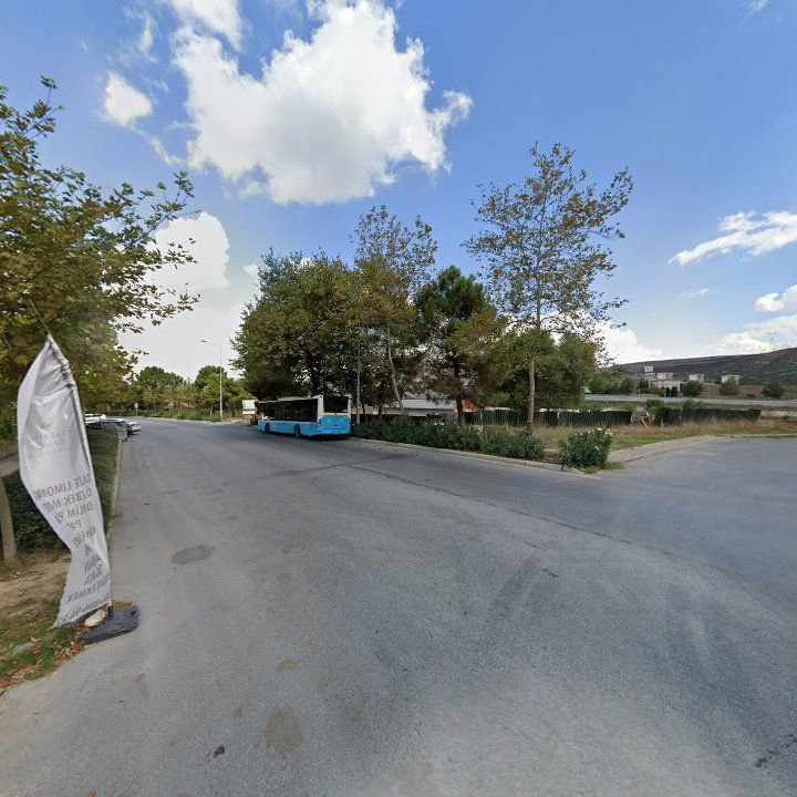 Fotoğraf 13
