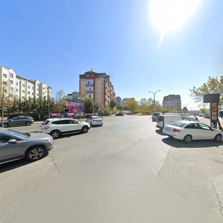 Fotoğraf 12