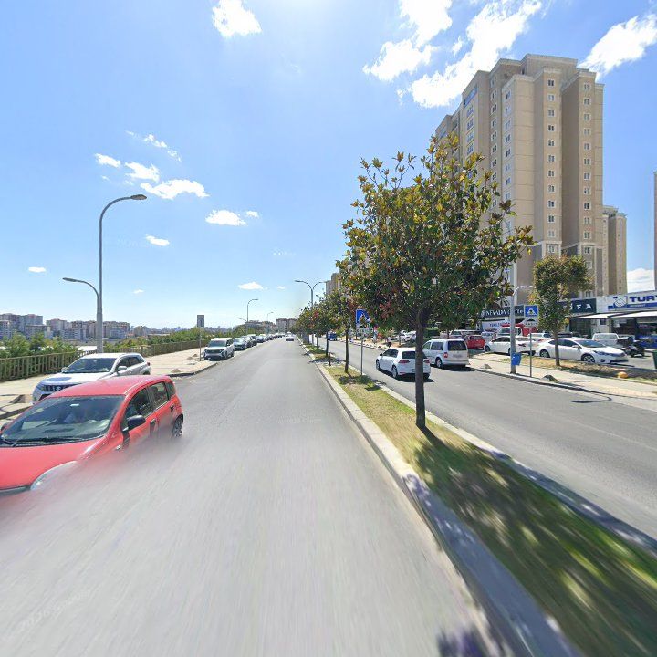 Fotoğraf 10