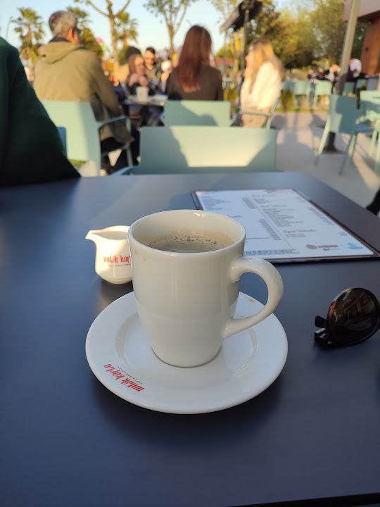 Fotoğraf 31