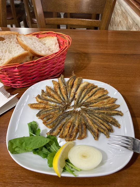 Fotoğraf 12
