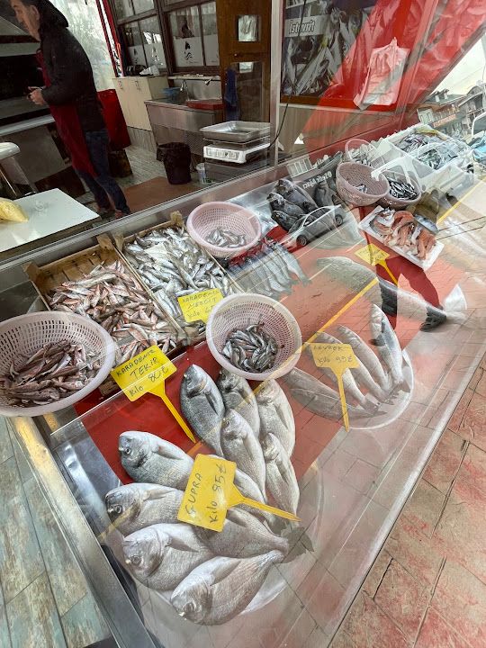 Fotoğraf 14