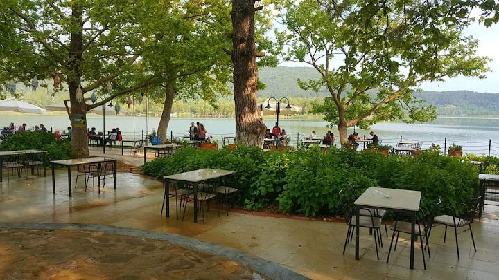 Gölcük orman içi dinlenme tesisleri kahvaltı salonu & cafe