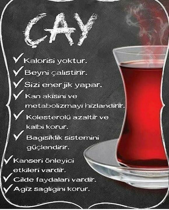 Fotoğraf 14