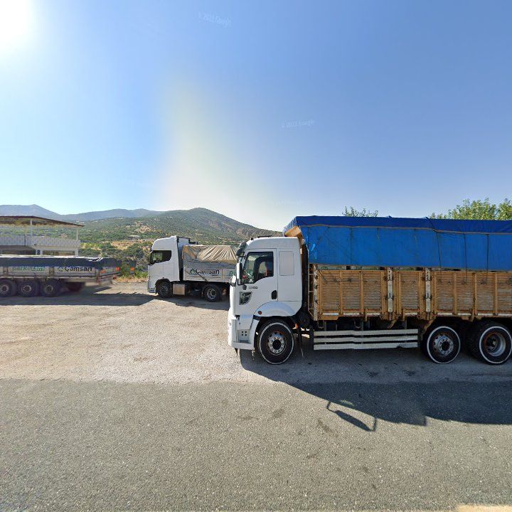 Fotoğraf 11