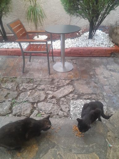 Fotoğraf 34