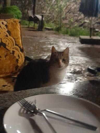Yorum fotoğrafı 3