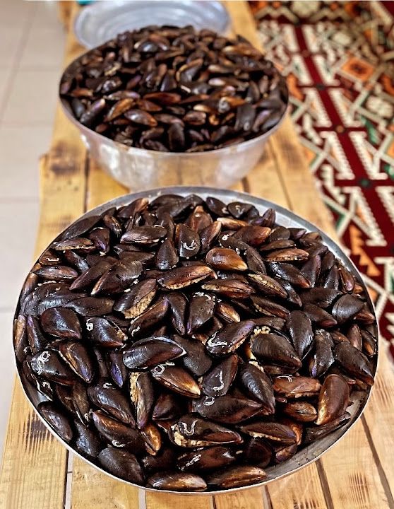 Fotoğraf 16