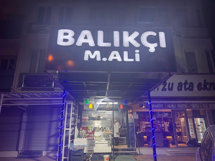 Balıkçı Mali (mehmet Ali Kanşıray )