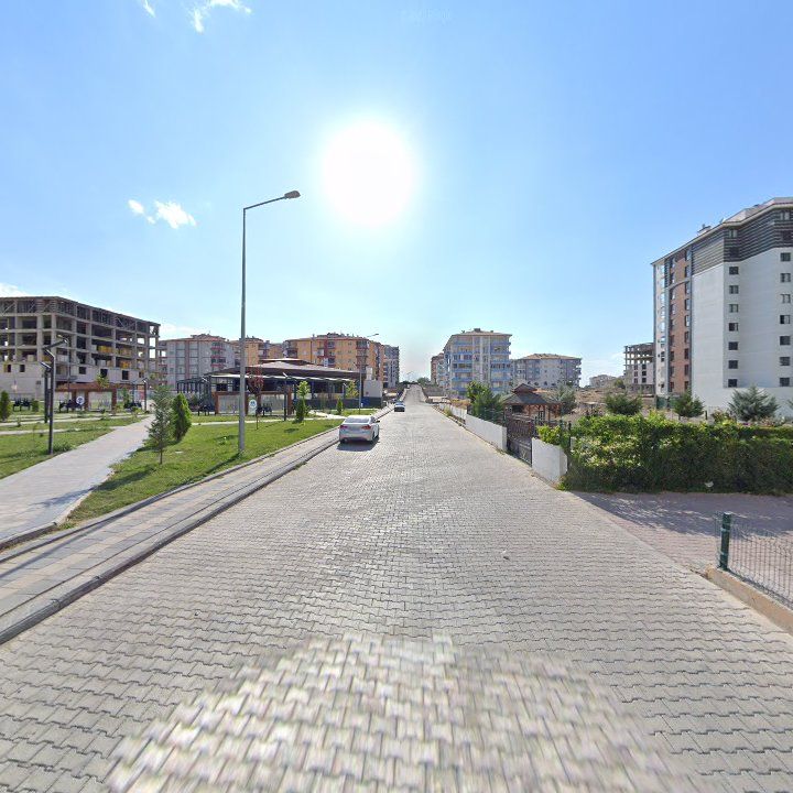 Fotoğraf 7