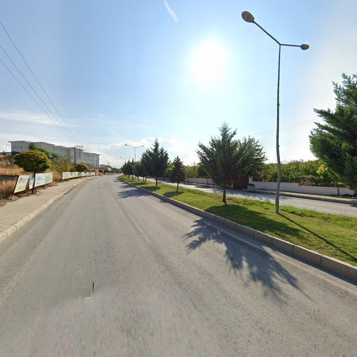 Fotoğraf 9