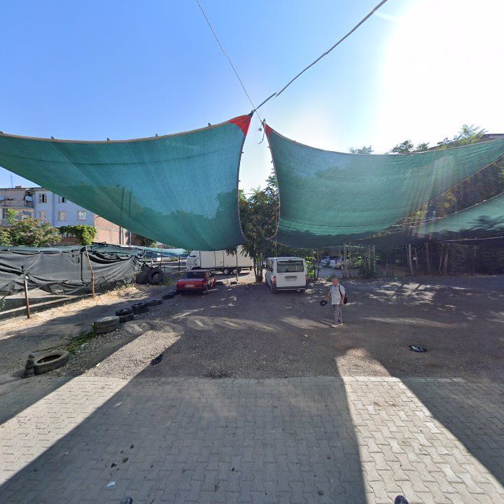 Fotoğraf 3