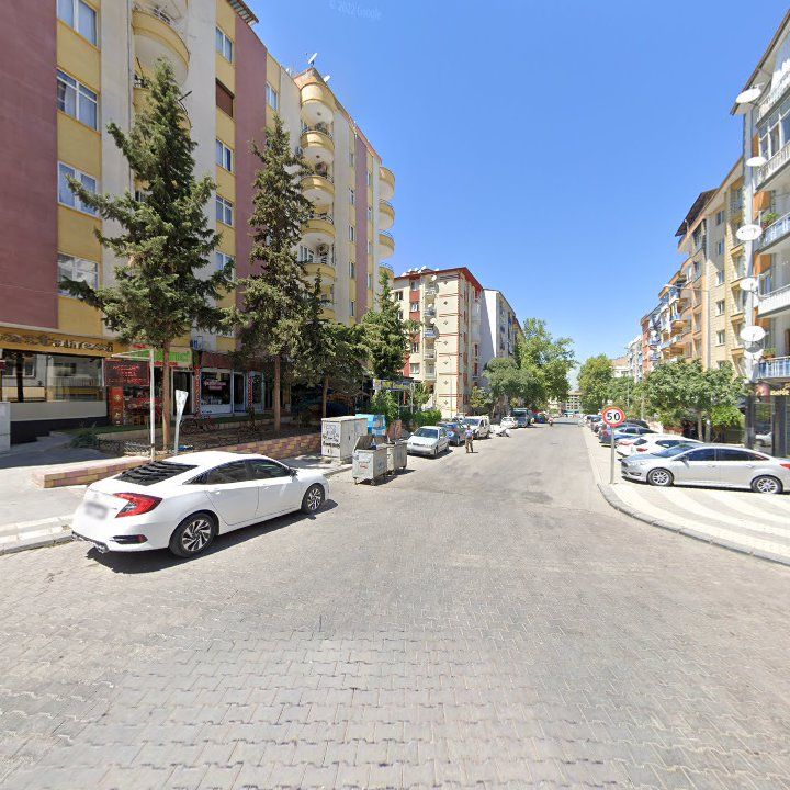 Fotoğraf 8