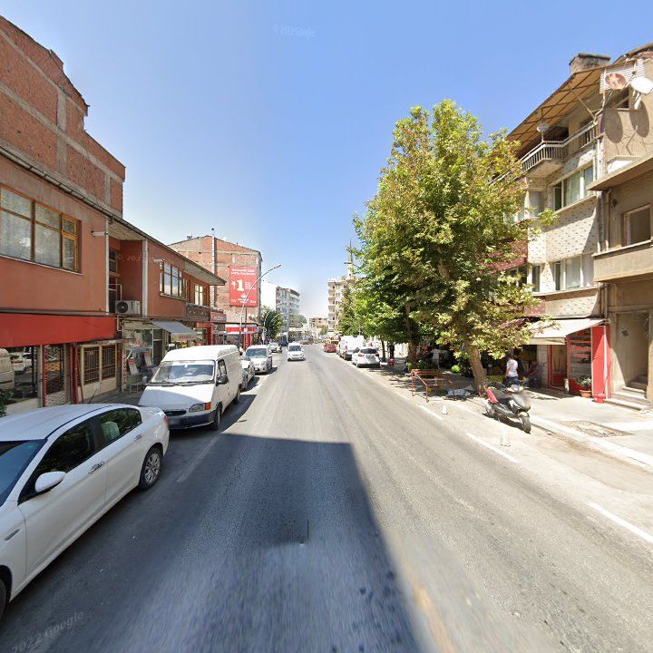 Fotoğraf 9