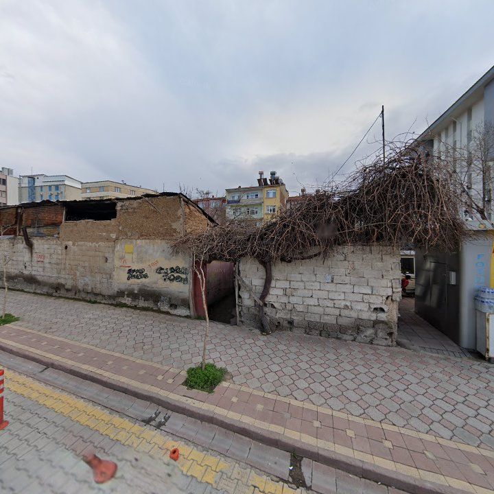 Fotoğraf 9