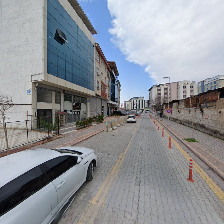 Fotoğraf 12