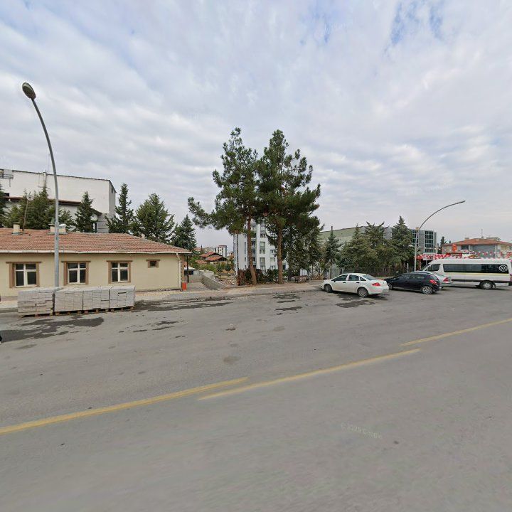 Fotoğraf 10