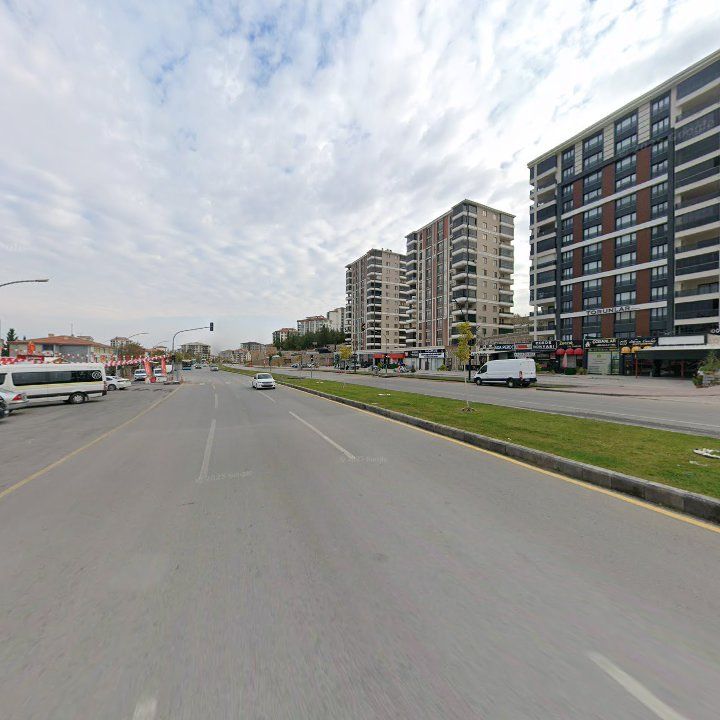 Fotoğraf 11