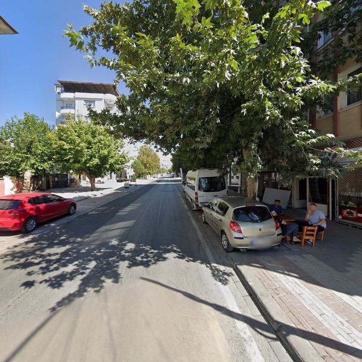 Fotoğraf 7