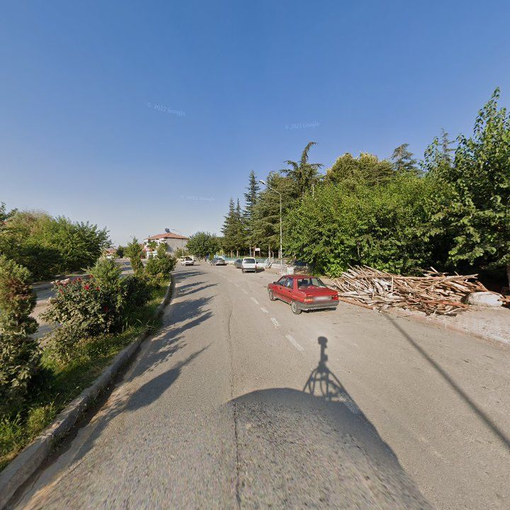 Fotoğraf 6