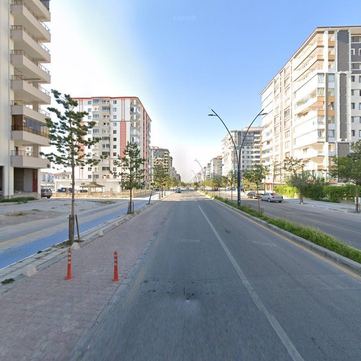 Fotoğraf 11