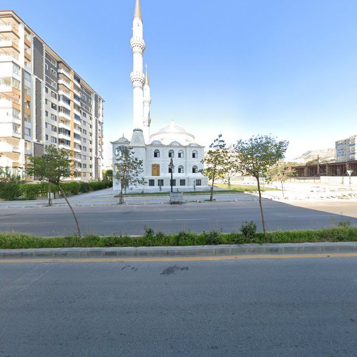 Fotoğraf 12