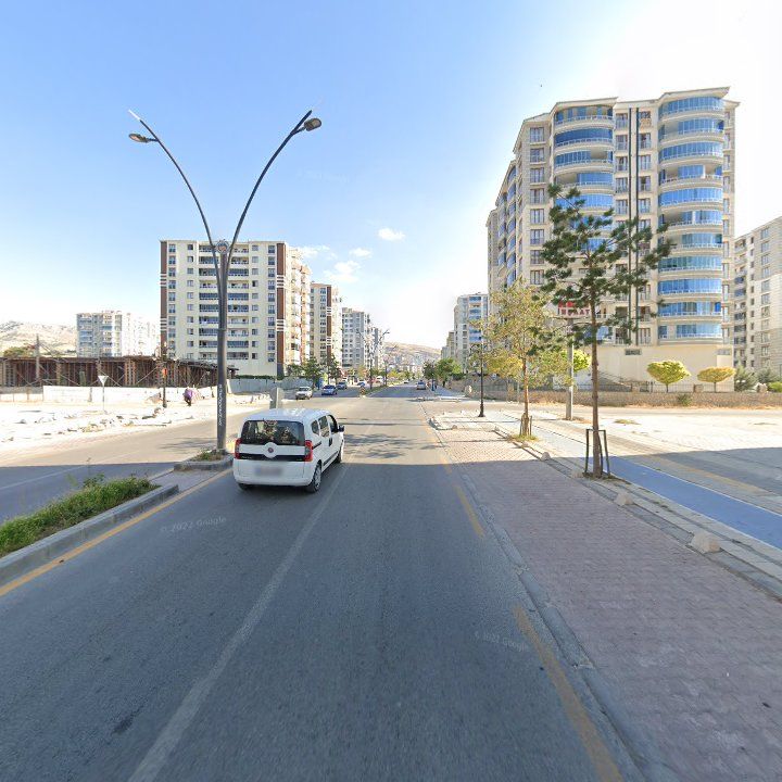 Fotoğraf 13