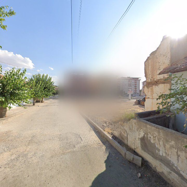 Fotoğraf 9