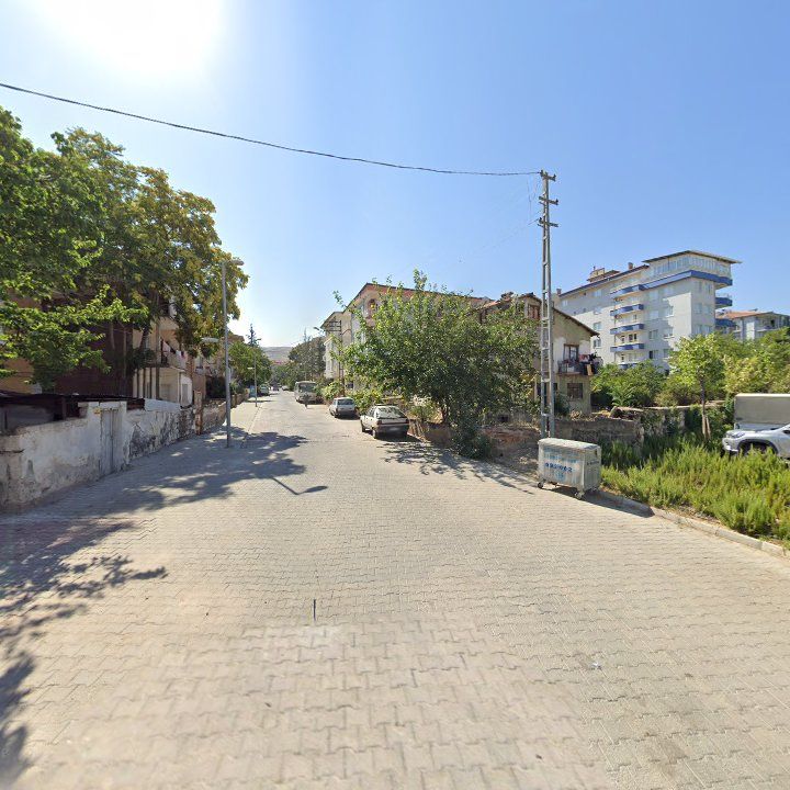 Fotoğraf 9