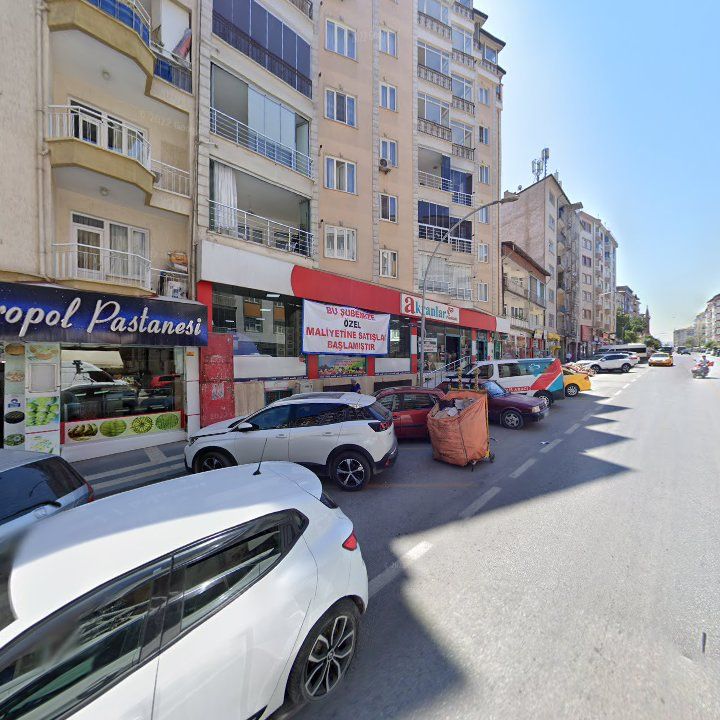 Fotoğraf 10