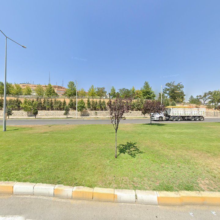 Fotoğraf 11