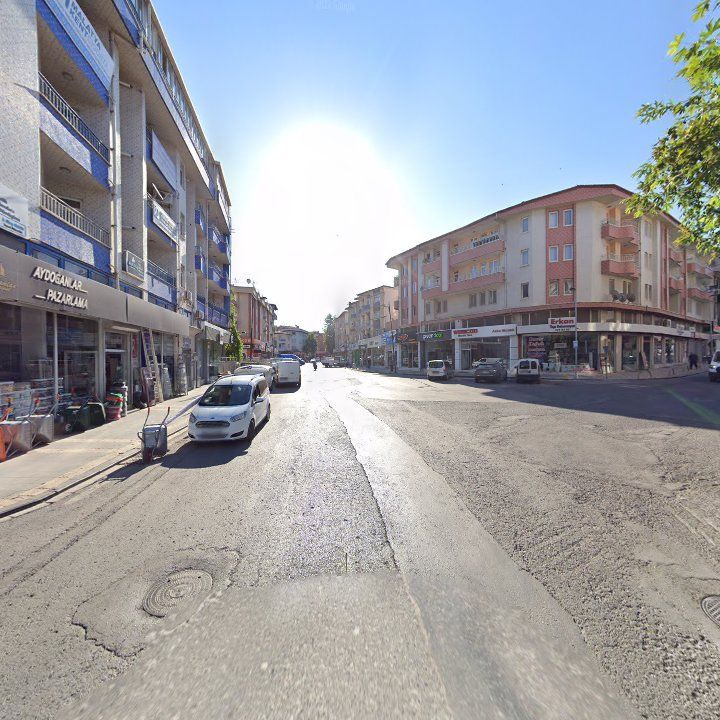 Fotoğraf 7