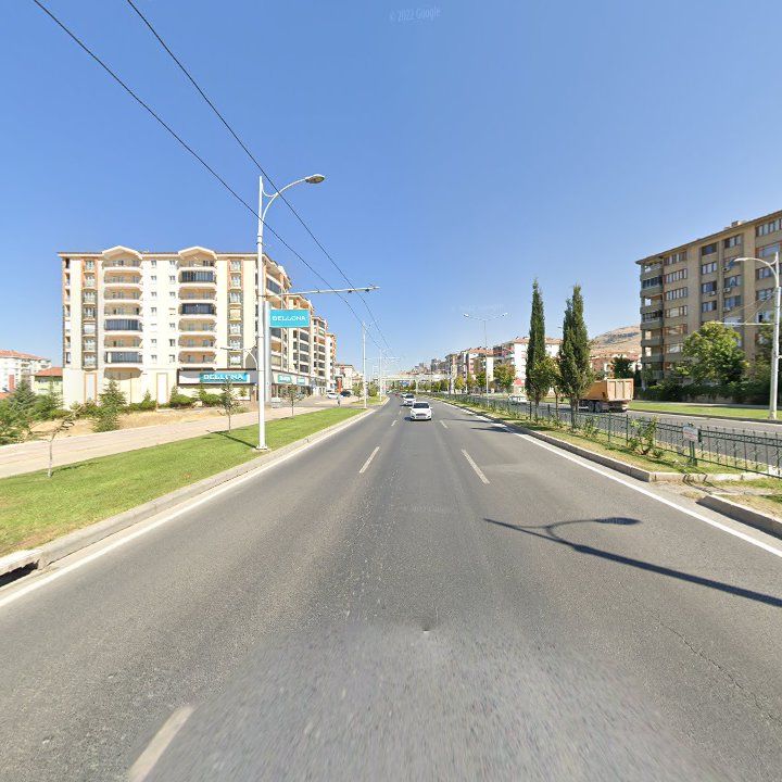 Fotoğraf 10