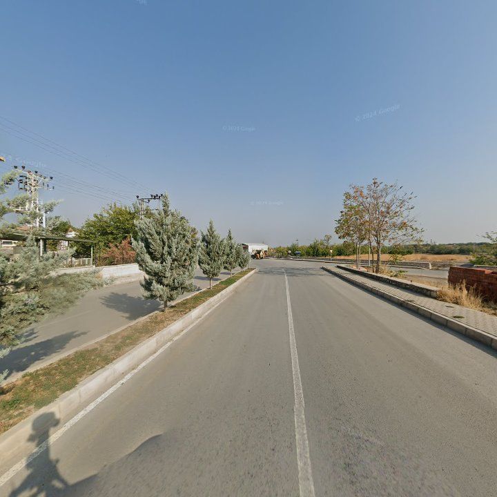 Fotoğraf 10