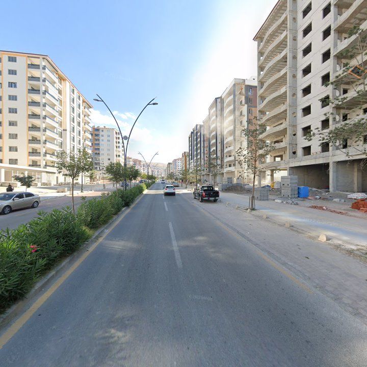 Fotoğraf 7